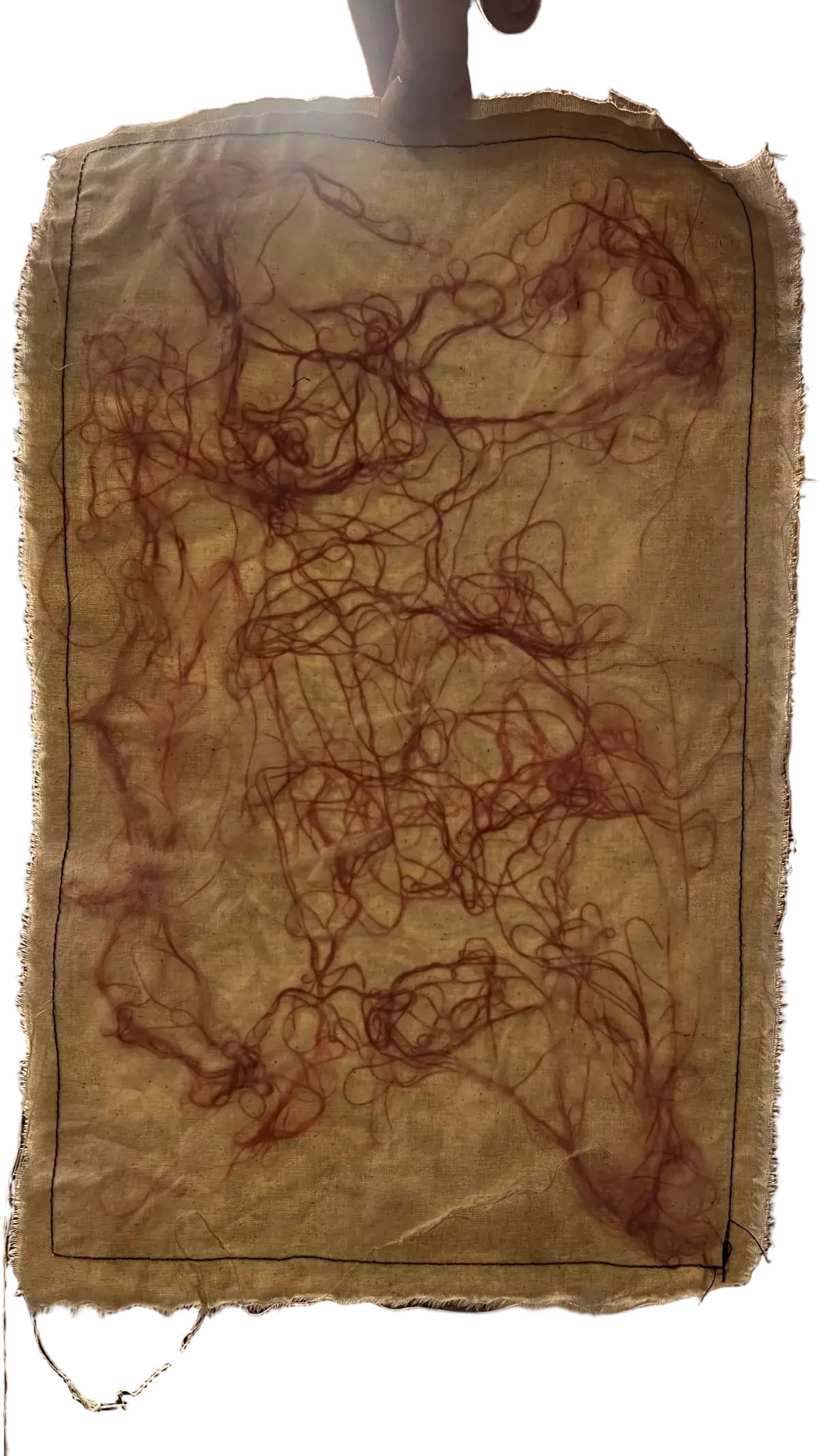 Fusion, process, photograph 11