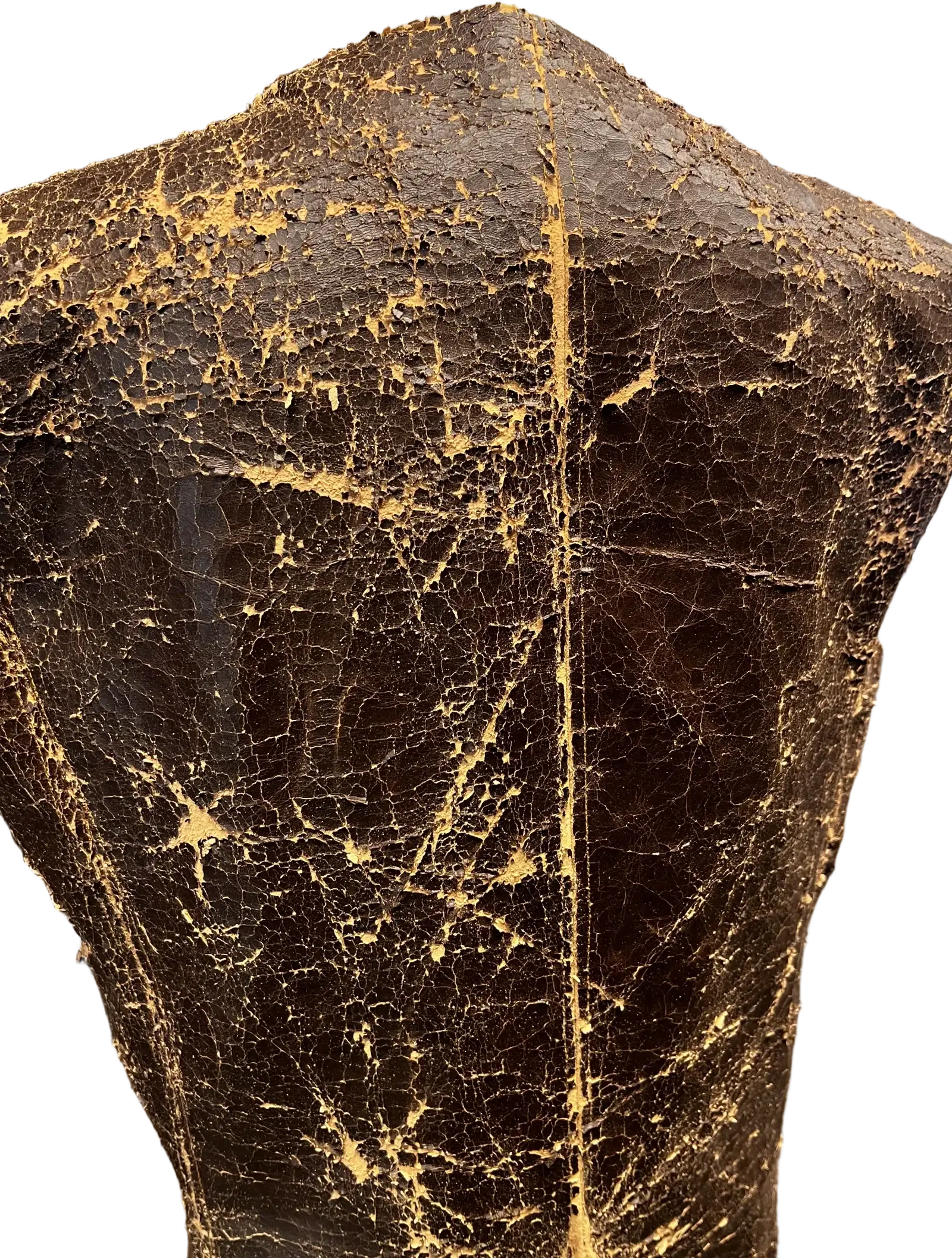 Fusion, process, photograph 13